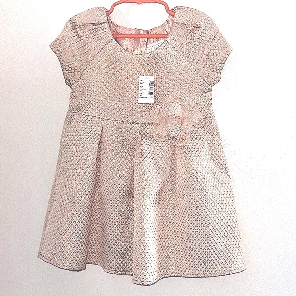 Rose Gold Dress - Picture 1 of 3